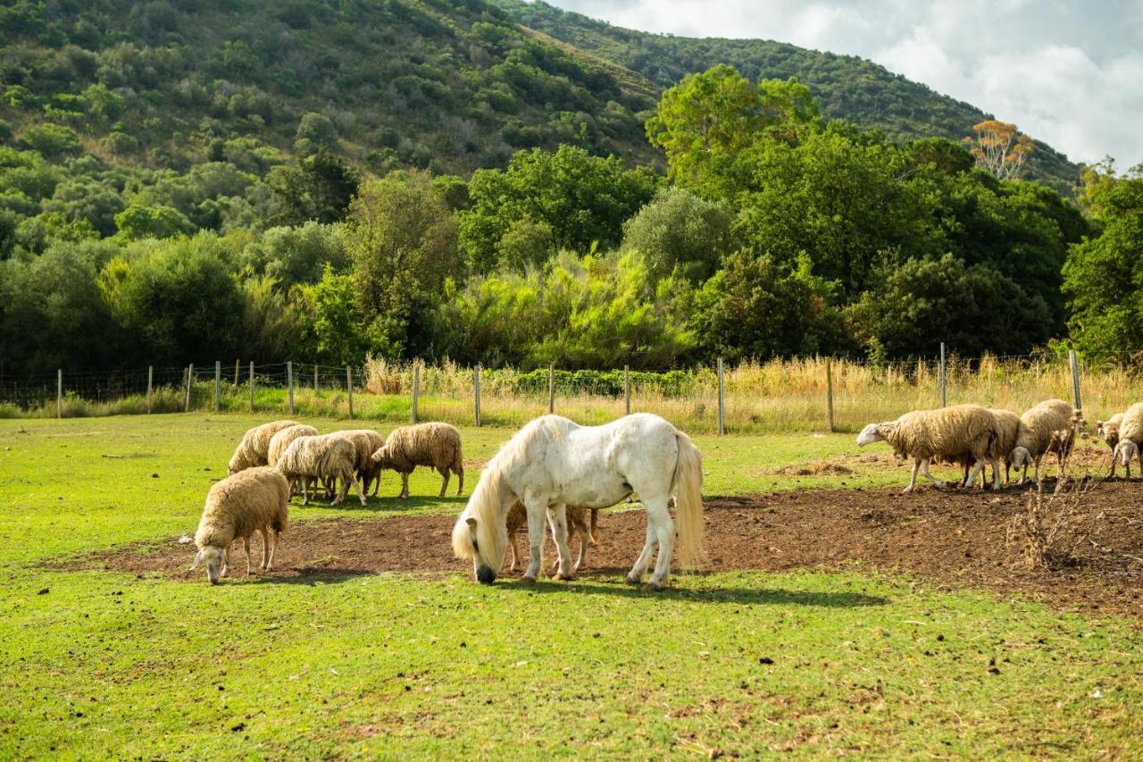 Вилла Antica Fattoria La Parrina Орбетелло Экстерьер фото